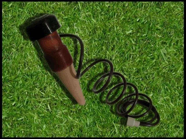 medium.blumat1.jpg.47295b019d22df021fe99