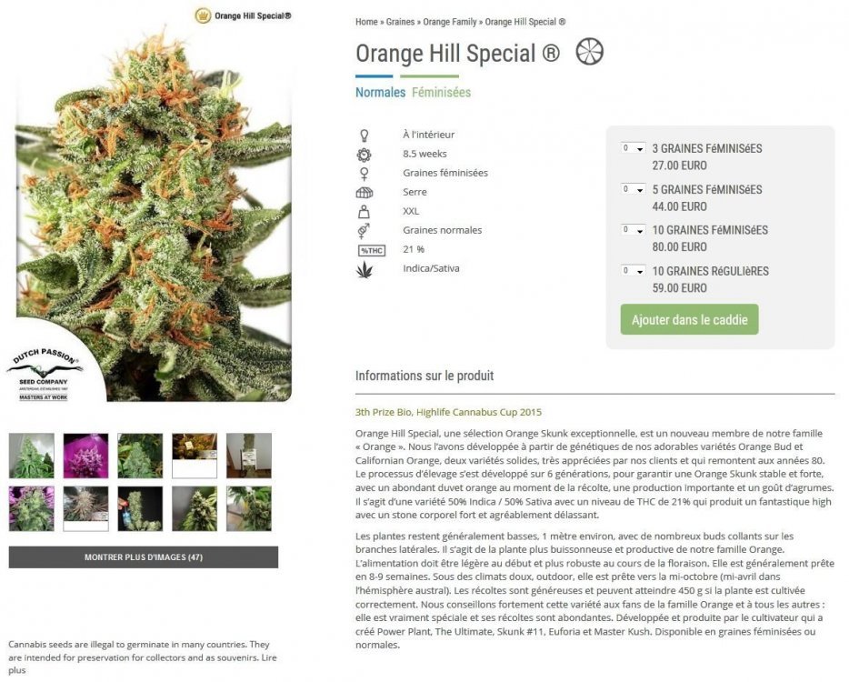 orange.thumb.JPG.a3dc10f13ac318a2db9bc3b4469da856.JPG