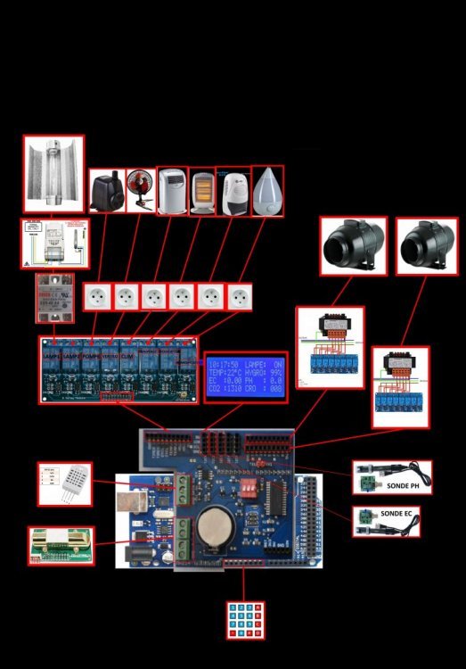 schema_global.thumb.jpg.9641ad51933a91796172a47e5e1fc900.jpg
