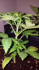 20180111_183946.jpg