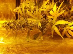 20180115_073849.jpg