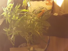 20180115_073947.jpg