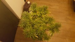 20180116_094348.jpg