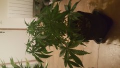 20180116_094529.jpg