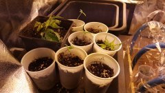 20180123_073731.jpg