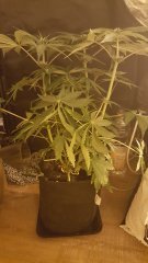 20180123_073944.jpg
