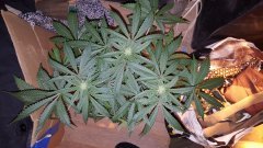 20180123_074009.jpg