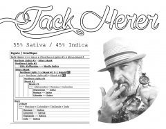 Jack étiquette encre éco.jpg