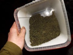 diy fertiliser ortie.JPG