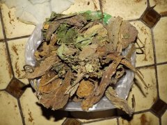 00 diy fertiliser consoude.JPG