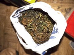 00 diy fertiliser canna.JPG
