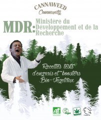 titre MDR  Ministère du Développement et de la Recherche