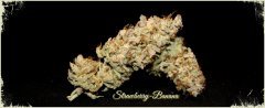 Strawberry-Banana