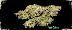 UK CHEESE EXODUS CUT