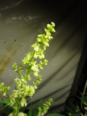 DSC02822.JPG