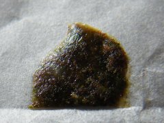 DSCF1079.JPG