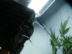 DSCF1428.JPG