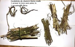 recyclage branche cannabis.JPG