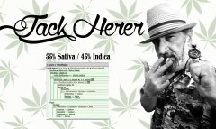 étiquette Jack Herer.jpg