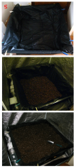No-Till_05.png