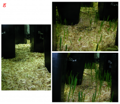 No-Till_08.png