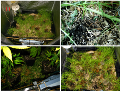 No-Till_11.png