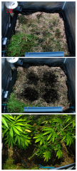 No-Till_12.png