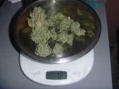 skunk 4
