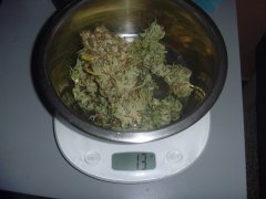 skunk 5