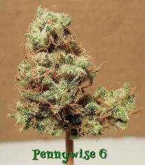 Pennywise#6