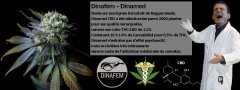 dinamed