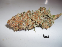 Lsd / Barney's farm