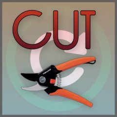 CUT.jpg
