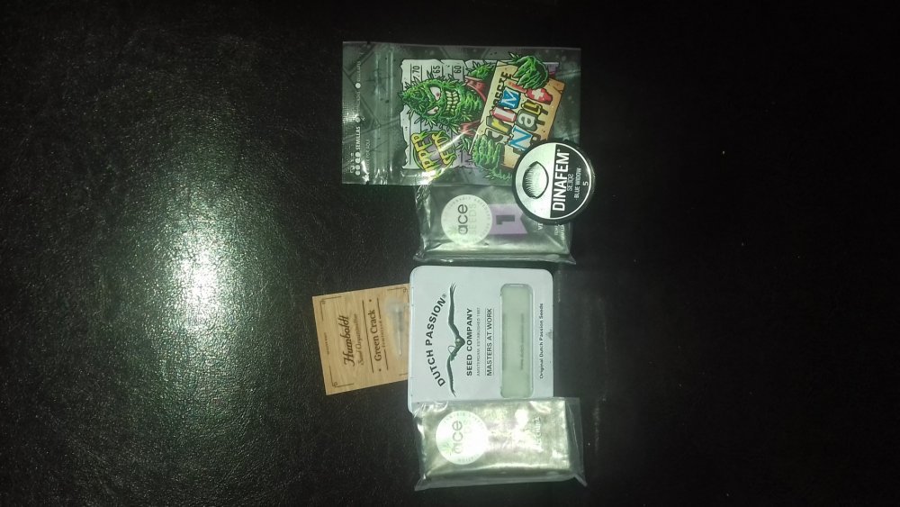 20180209_074002.jpg