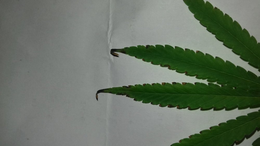 20180210_093757.jpg