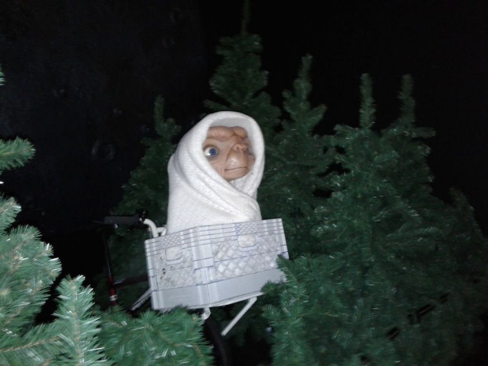 20180216_122158.thumb.jpg.07cce2232fd63ef9a824e3575f35129a.jpg
