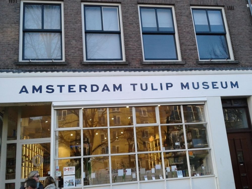 20180217_165012.thumb.jpg.d09169cc4306f106dcb2f8f146f11a6c.jpg