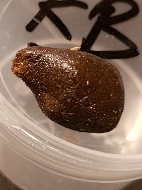 20180219_210224.jpg