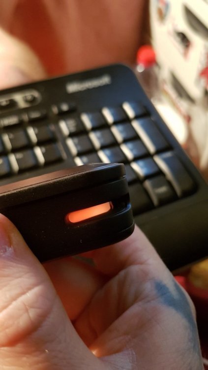 20180222_204624.thumb.jpg.f049e95e300de88d610bca0c885fd8f6.jpg