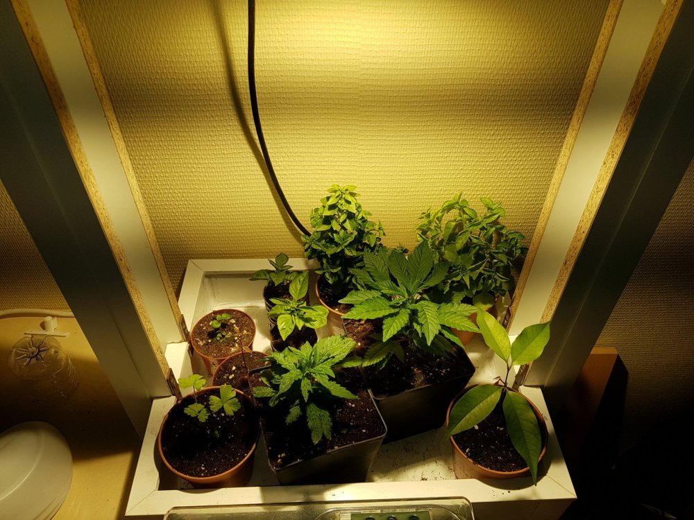 20180223_191107.jpg