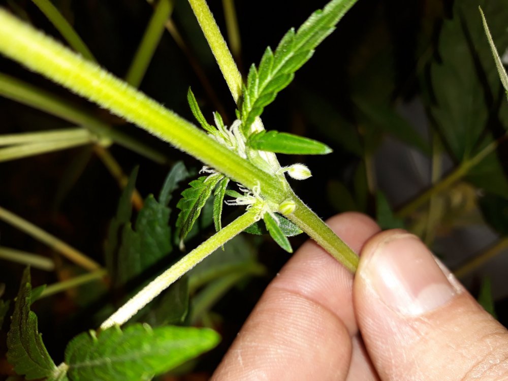 20180223_203752.jpg