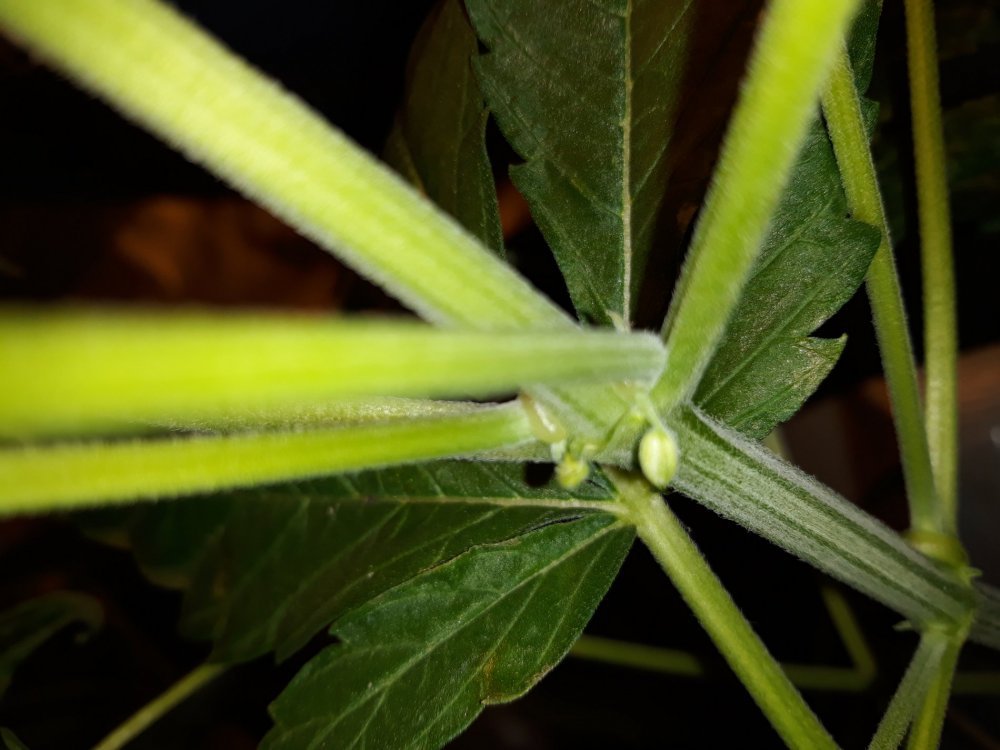 20180223_204129.jpg