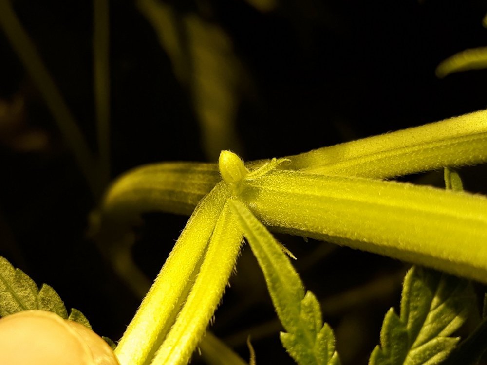 20180224_200219.jpg