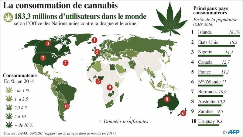 Maroc - Légaliser le cannabis: Faut-il revoir notre politique?