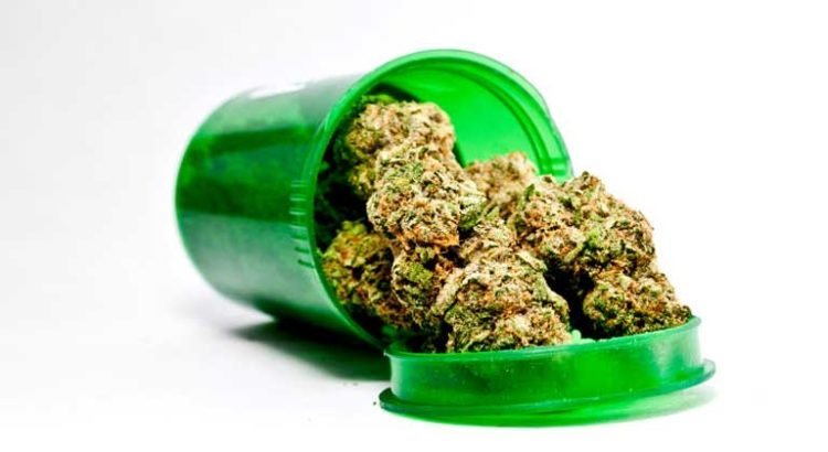 Peut-on dire en France que le cannabis a des effets thérapeutiques ?