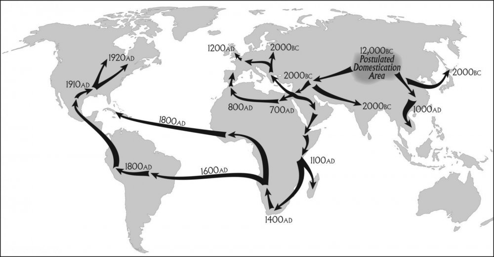 Cannabis-Map.thumb.jpg.d111ba16fa8e8096c47efcec2e9e7eee.jpg