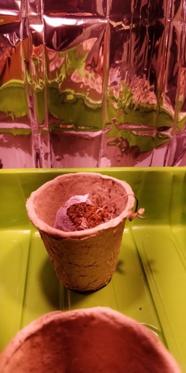 IMG_20180216_081014.jpg