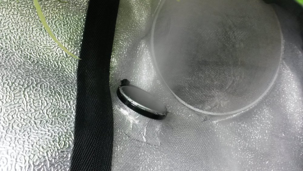 Intra_brumi.thumb.jpg.329a6e85d5e6412bdfa207a2c34f54d1.jpg