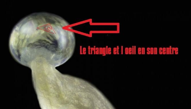 iCiheUb.jpeg.e8b3a1d39306fb2626c143c3dc5e87a4.jpeg