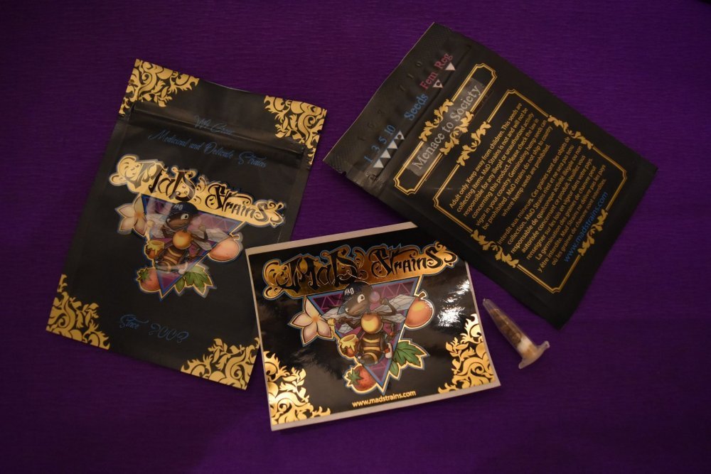 packaging-sticker-seeds-madstrains-c.jpg